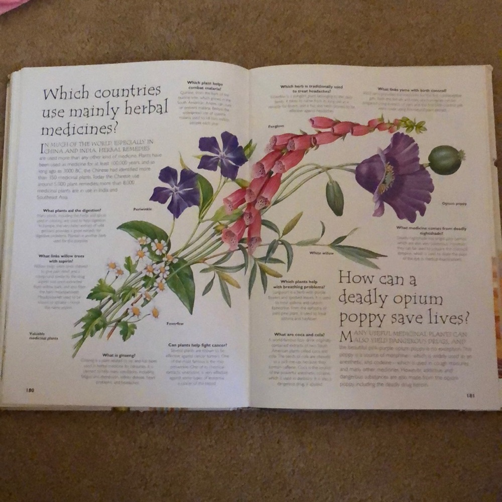 Book - Picture 4 of 7